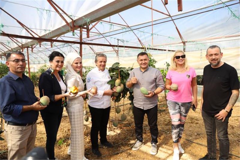 TROPİKAL MEYVE FESTİVALİ