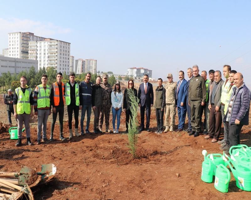 SİİRT’TE “GELECEĞE NEFES” SLOGANI İLE MİLLİ AĞAÇLANDIRMA GÜNÜ’NDE FİDANLAR TOPRAKLA BULUŞTU