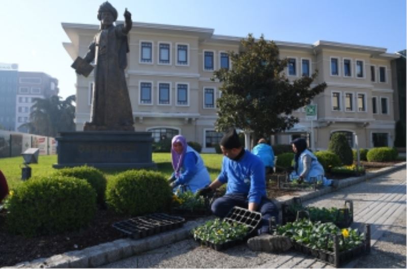 Osmangazi Kış Çiçekleri İle Renklenecek