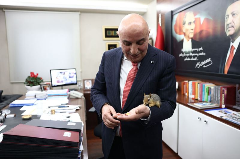 Sevimli sincaba Keçiören Belediyesi sahip çıktı