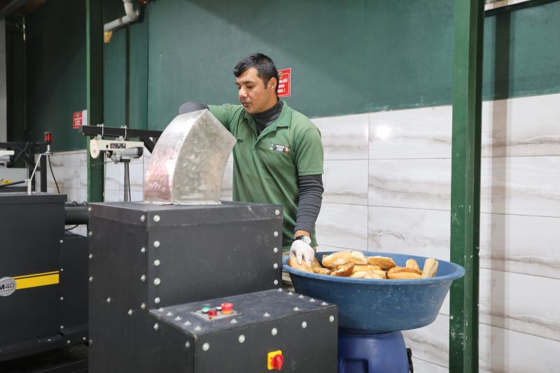 GAZİANTEP BÜYÜKŞEHİR, GASTRONOMİ LEZZETLERİNİ SOKAK HAYVANLARINA MAMA OLARAK SUNUYOR