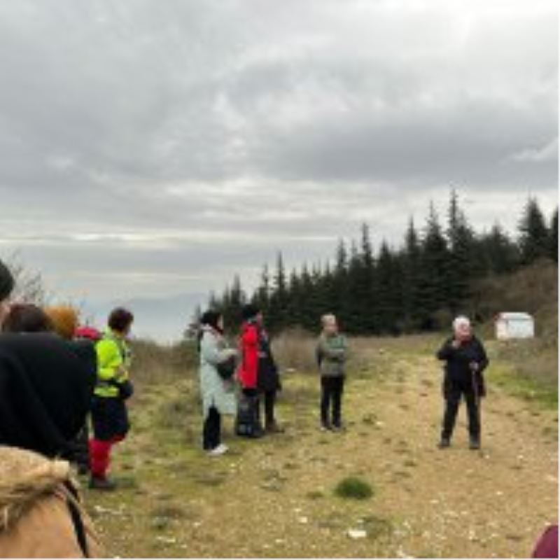 Kadınların 
