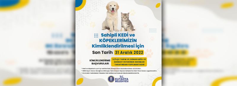 SAHİPLİ KEDİ VE KÖPEKLERİMİZİN KİMLİKLENDİRİLMESİ İÇİN SON TARİH 31 ARALIK 2022