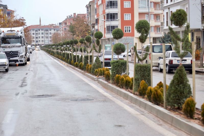 KURTULUŞ CADDESİ YEŞİLE BÜRÜNDÜ