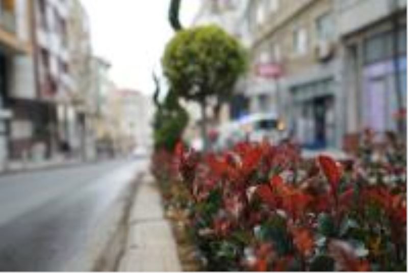 GÜMÜŞHANE CADDESİ TEMATİKLEŞİYOR
