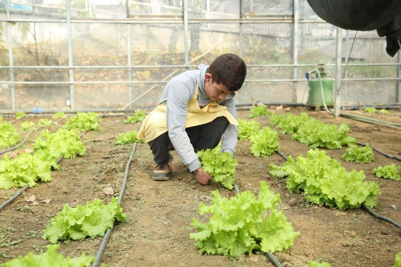 Özel çocuklar okuldaki serada yetiştirdikleri ürünlerden gelir elde ediyor