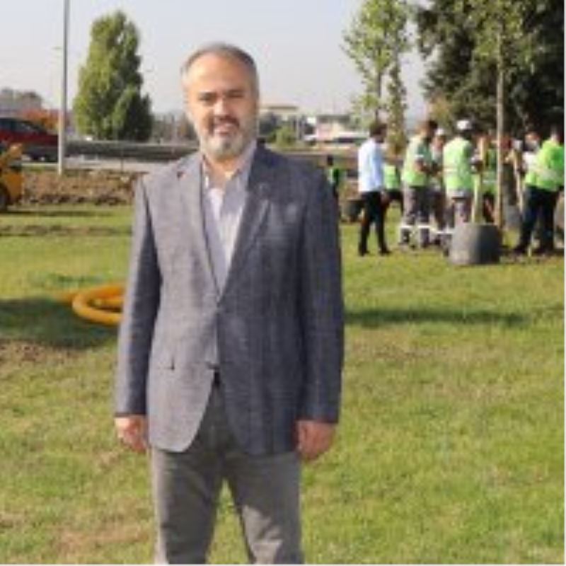 Çalı yolunda 