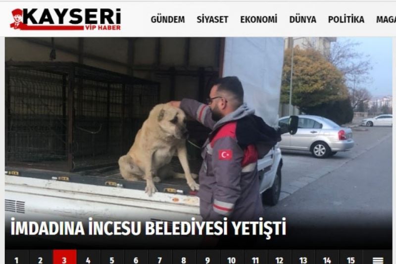Yaralı köpeğin imdadına İncesu Belediyesi yetişti