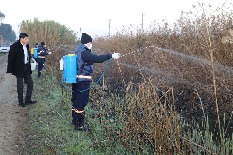 Nazilli Belediyesi’nden larva ile 365 gün mücadele