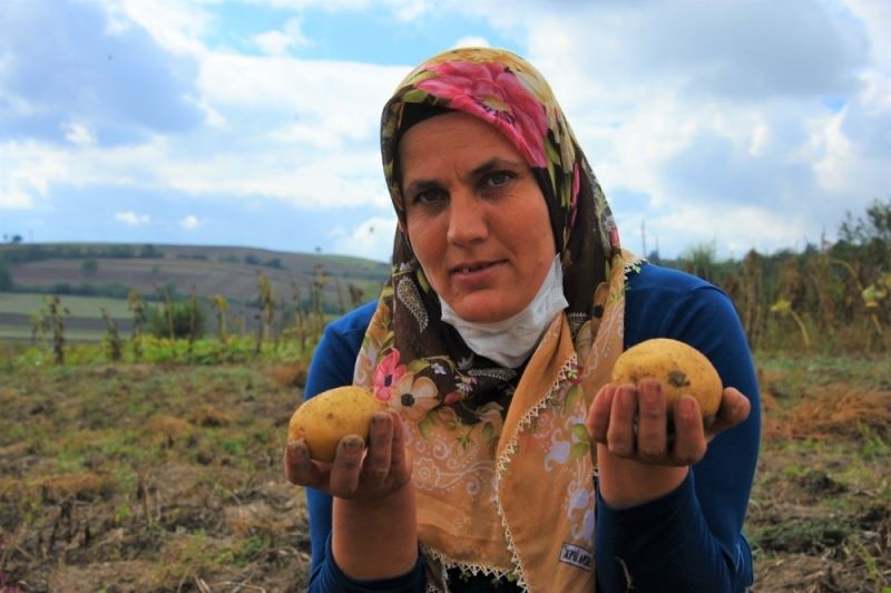 Büyükşehir üreticiye nefes oldu