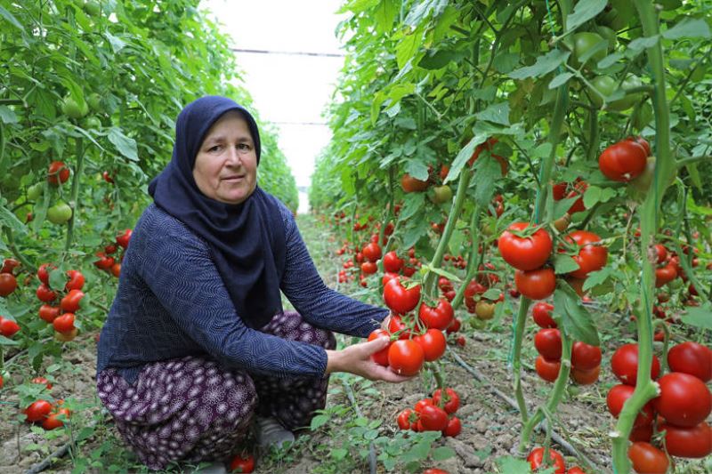 Büyükşehir’in Sulama Projesi  Manavgat’a Hayat Verdi