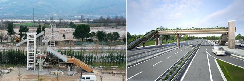 Ormanya’ya doğa temalı üst geçit