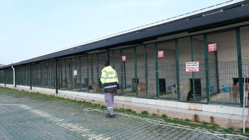 Can Dostları İnegöl Belediyesi İle Güvende