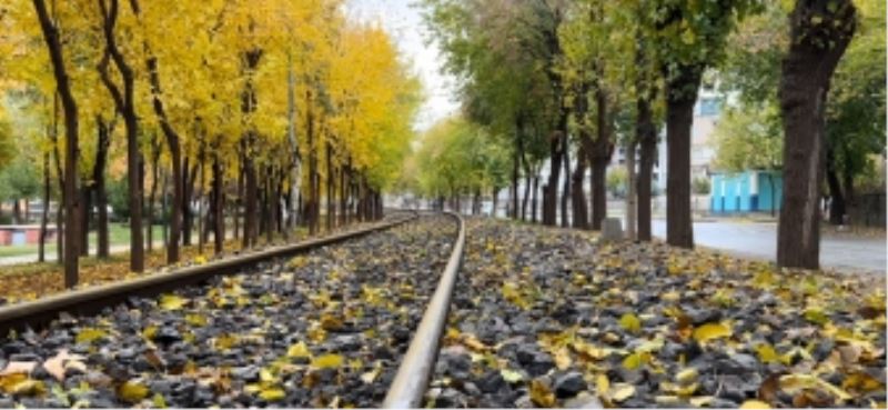 ŞİMDİ PARKLARDA YAPRAKLARIN FOTOĞRAFINI ÇEKME ZAMANI