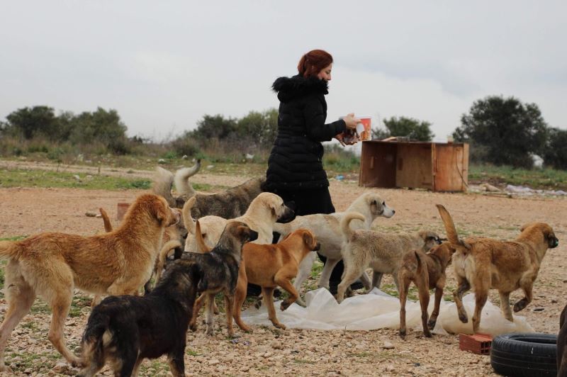 Kırsaldaki can dostlara gönüllü destek