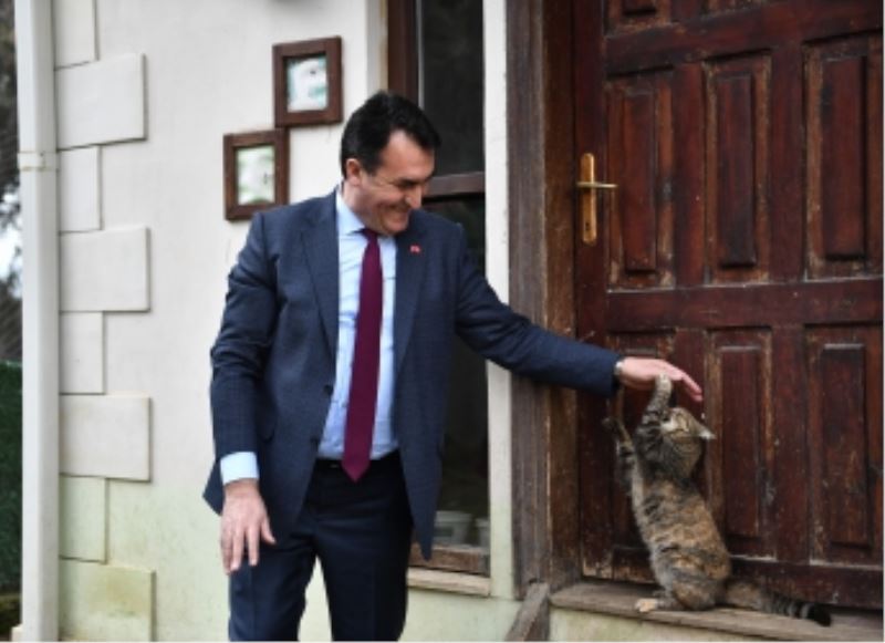 7 Bin 87 Can Dost Şifa Buldu