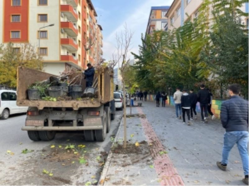 YENİ PARKLARA FARKLI TÜRDEN AĞAÇ DİKİMİ YAPILDI