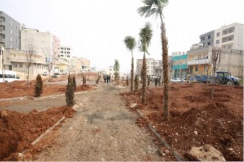 Eyyübiye Kito Deresi’nde Ağaçlandırma Devam Ediyor
