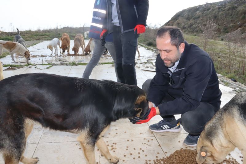 İZMİT BELEDİYESİ YENİ YILA GİRERKEN CAN DOSTLARIMIZI UNUTMADI