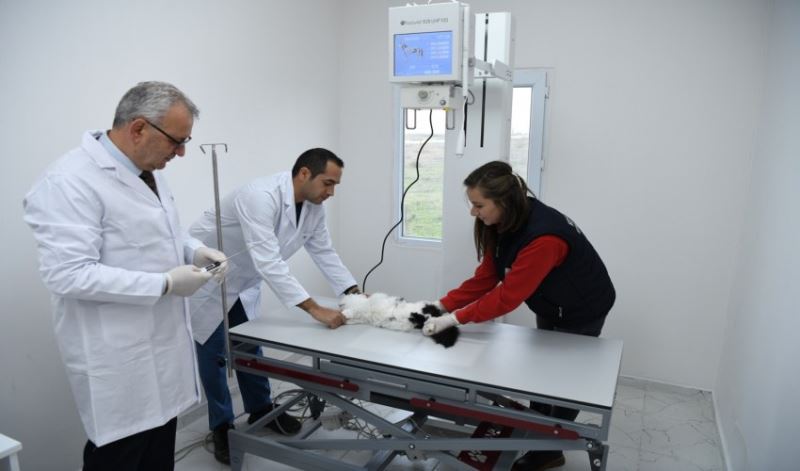 Yeni alınan röntgen cihazı ile teşhis ve  tedavide kesin çözümler üretiliyor