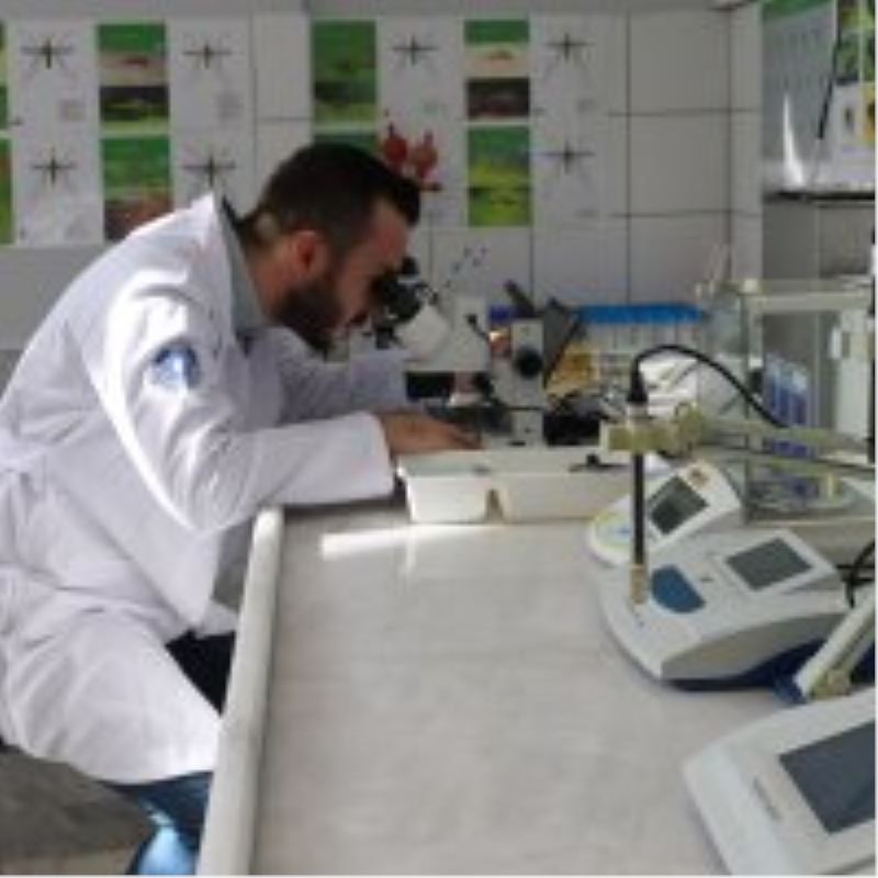 Sinekle mücadele laboratuvara taşındı