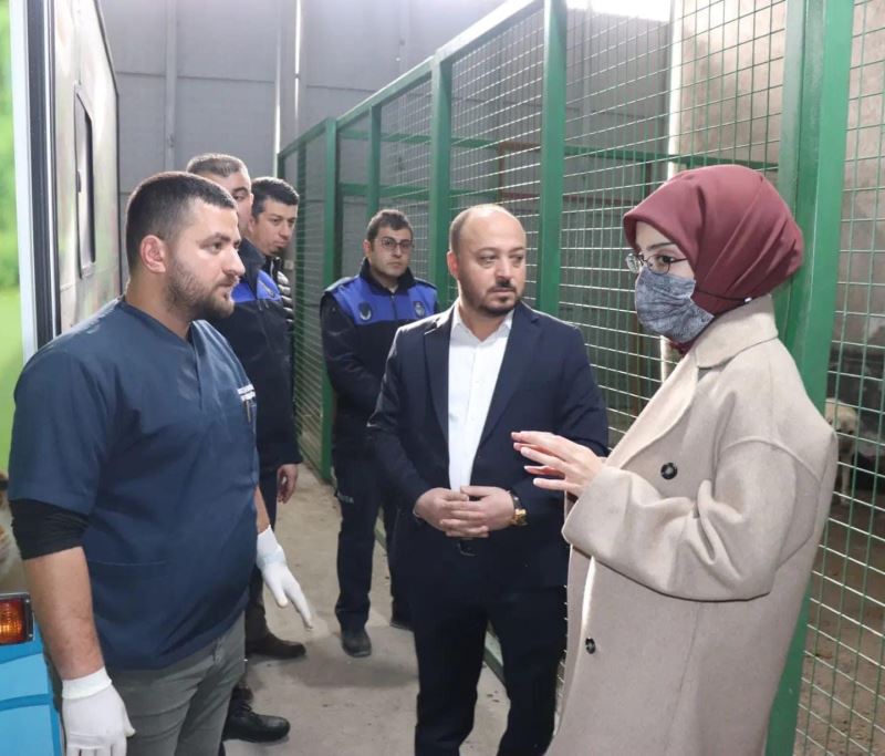 CAN DOSTLARIMIZIN SAĞLIK BAKIMLARI YAPILDI