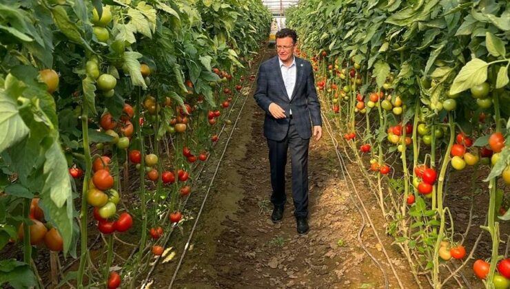 ATAY USLU.. ‘AFETİN YARALARI SARILIYOR’
