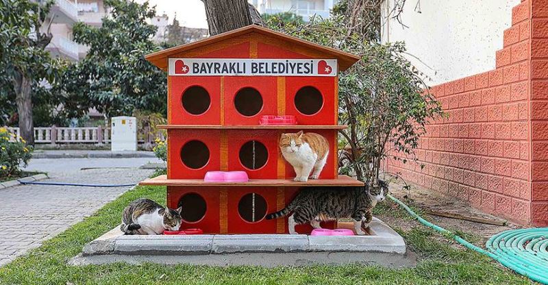 Bayraklı Belediyesi can dostları unutmadı