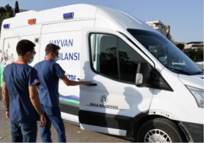 Buca Belediyesi bir yılda 12 bin can dostuna kucak açtı