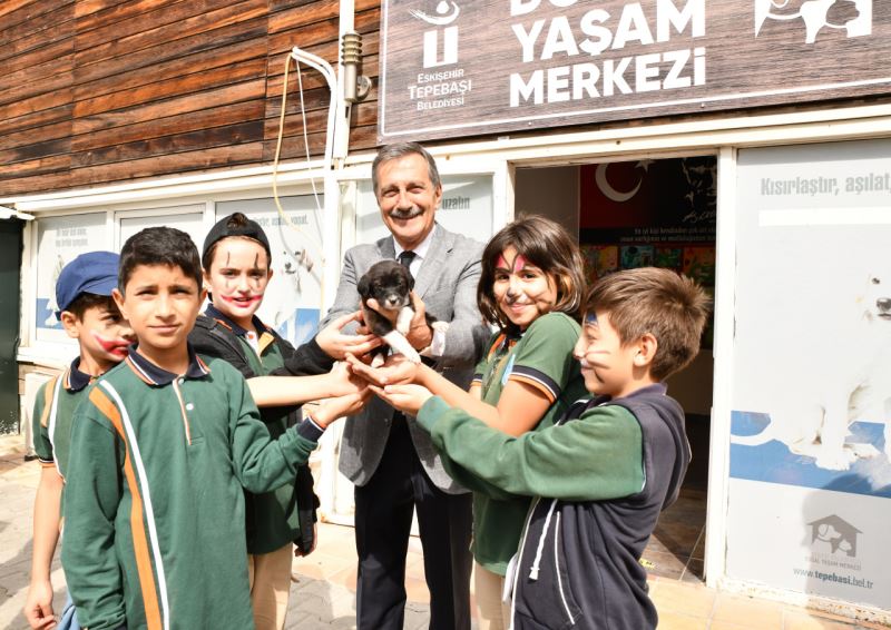 503 CANIN DAHA SICAK BİR YUVASI OLDU