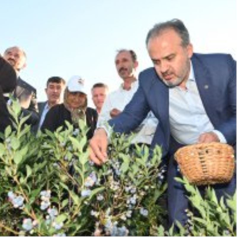 Büyükşehir’in tarlada izi var