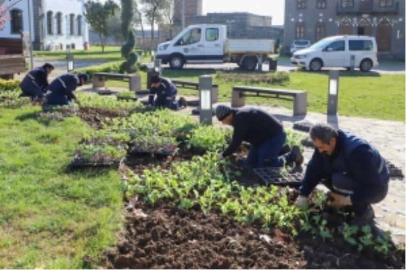 Kavşak ve refüjler çiçeklerle süslendi