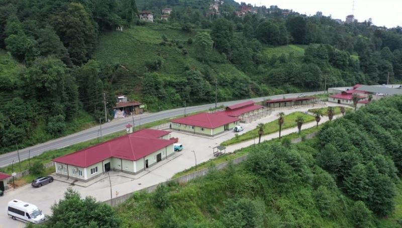 RİZE BELEDİYESİ