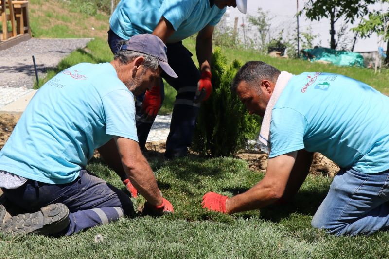2022’DE ON BİNLERCE AĞAÇ DİKEN İZMİT BELEDİYESİ EKİLEN AĞAÇ VE ÇİÇEKLERLE YEŞİL BİR İZMİT İÇİN ÇALIŞTI