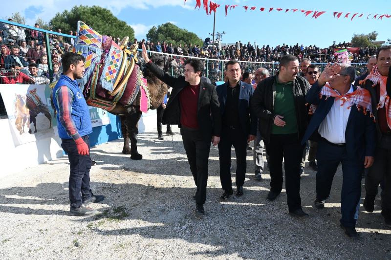 Folklorik Deve Gösterileri