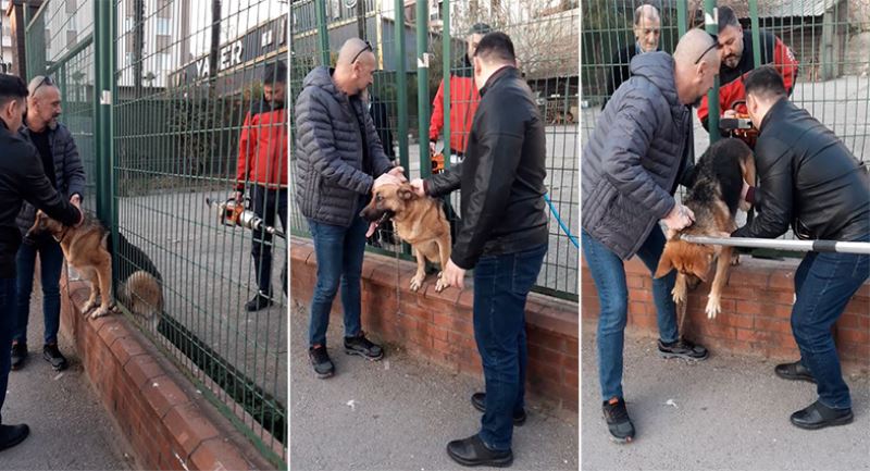 Demir çitlere sıkışan köpeği itfaiye kurtardı