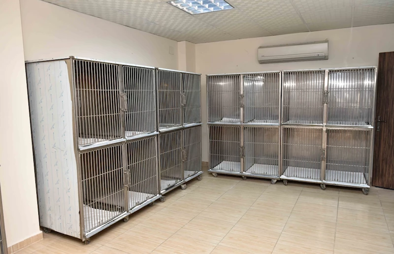 Büyükşehir Sokak Hayvanları Kısırlaştırma ve Bakım Merkezi Açıldı