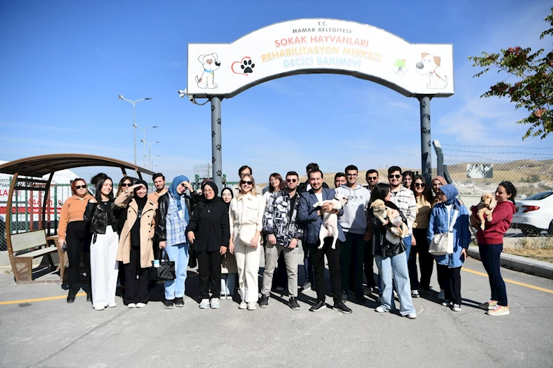 Üniversite Öğrencileri Patili Dostlarla Buluştu