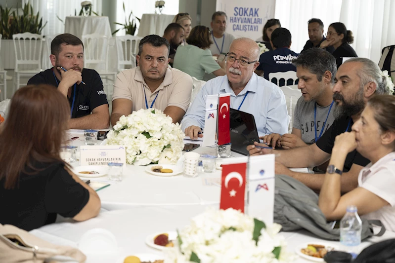 Büyükşehir’den ‘Sokak Hayvanları Çalıştayı’