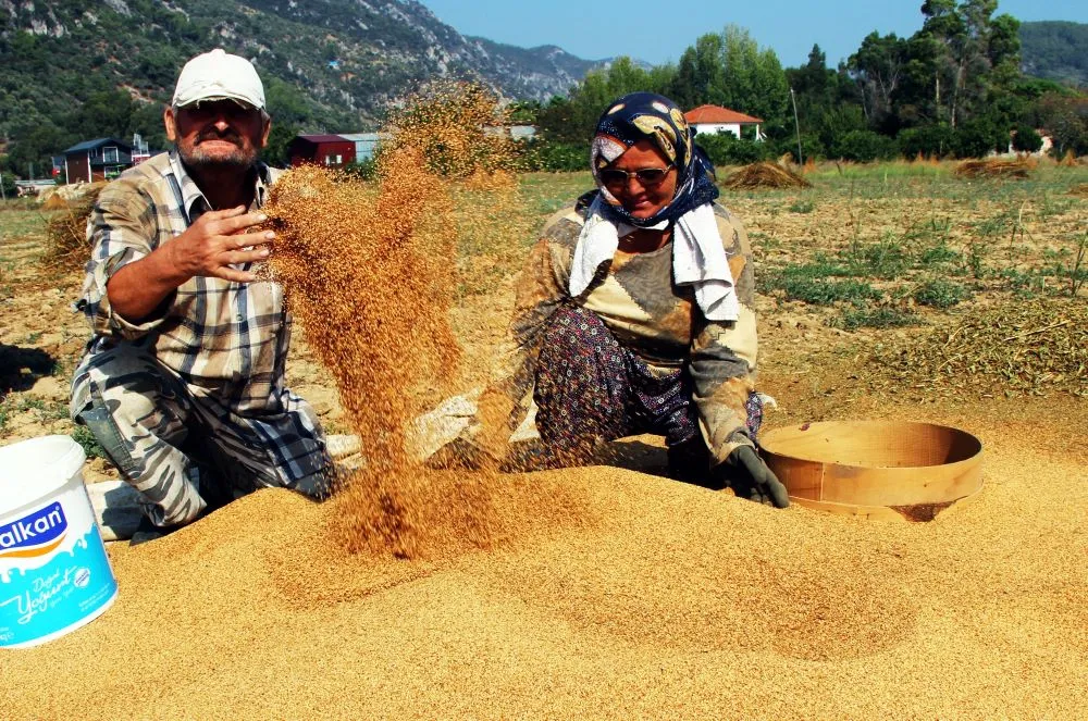 SARI SUSAM.. TADINI İYOTLU RÜZGARDAN ALIYOR DÜNYADA SADECE TÜRKİYE