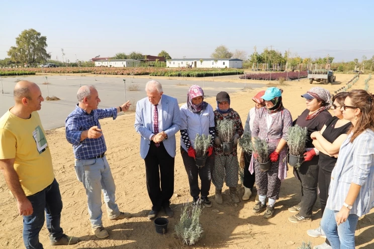 Ödemiş Belediyesi’nden “Tıbbi-Aromatik Bitki Bahçesi” Hamlesi