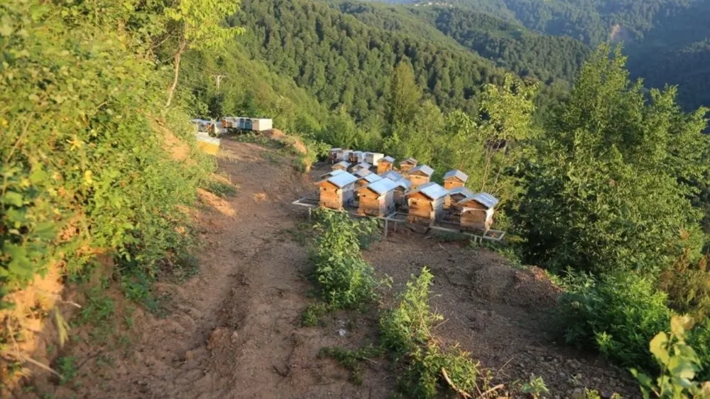 TÜRKİYE
