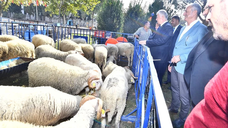 Ödemişli üreticiye küçükbaş hayvan ve yem bitkisi tohumu dağıtıldı