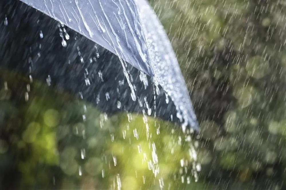 METEOROLOJİ