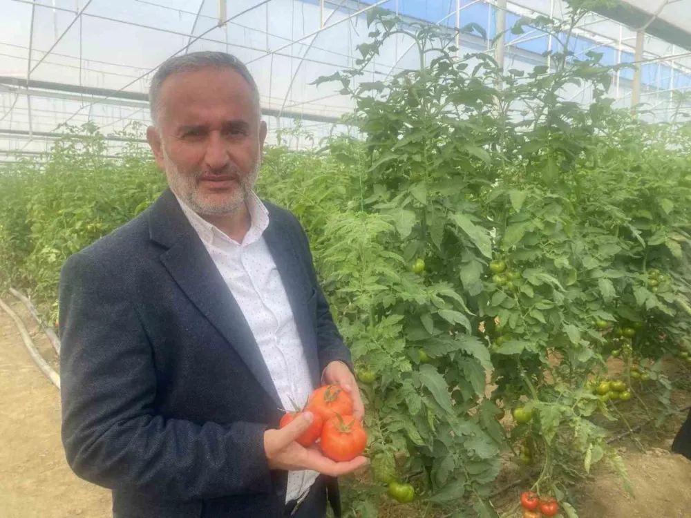 YERLİ VE MİLLİ 50 ÇEŞİT HİBRİT TOHUMU 35 ÜLKEYE İHRAÇ EDİLİYOR