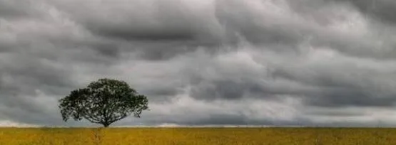 METEOROLOJİ
