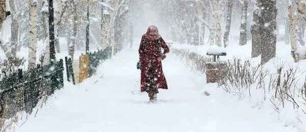 METEOROLOJİ