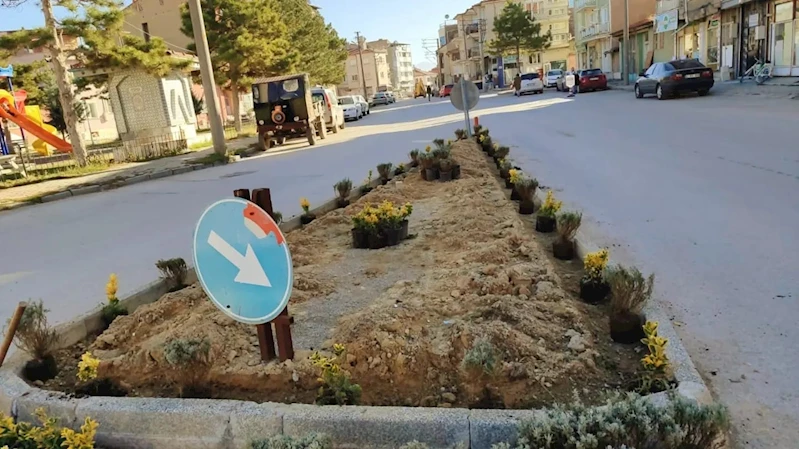 Yeşil Eller, Şehrimizi Güzelleştiriyor