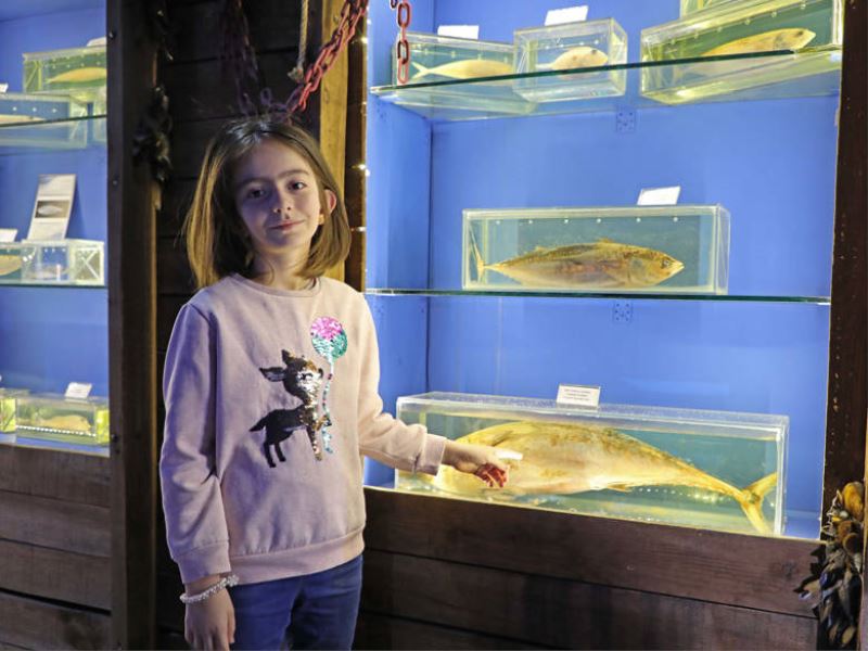Deniz Biyoloji Müzesi’ndeki balıklar yenilenecek