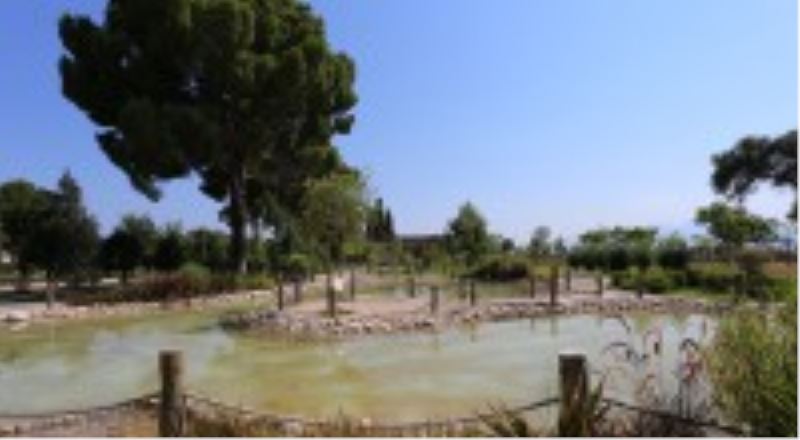 Botanik Park’ta doğa ve sanat iç içe